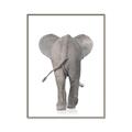 Picture of Behind Elephant _GroupedProduct_Rectangle_Portrait_Mini_ _GroupedProduct_Rectangle_Portrait_Canvas_Framed_