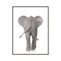 Picture of Behind Elephant _GroupedProduct_Rectangle_Portrait_Mini_ _GroupedProduct_Rectangle_Portrait_Canvas_Framed_