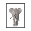 Picture of Behind Elephant _GroupedProduct_Rectangle_Portrait_Mini_ _GroupedProduct_Rectangle_Portrait_Canvas_Framed_