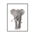Picture of Behind Elephant _GroupedProduct_Rectangle_Portrait_Mini_ _GroupedProduct_Rectangle_Portrait_Canvas_Framed_