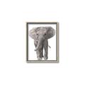 Picture of In Front Elephant _GroupedProduct_Rectangle_Portrait_Mini_ _GroupedProduct_Rectangle_Portrait_Canvas_Framed_