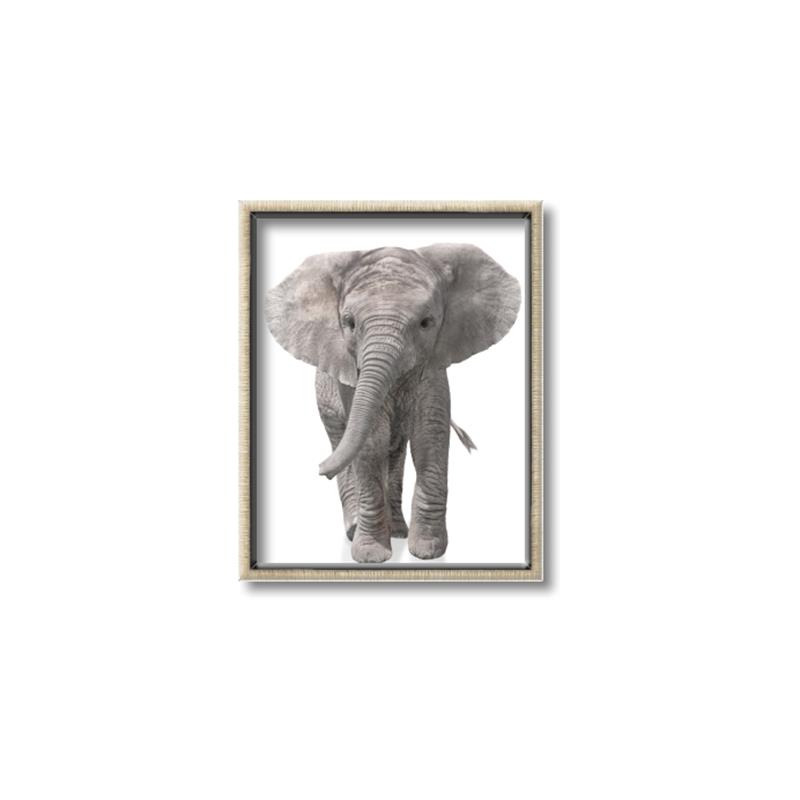 Picture of In Front Elephant _GroupedProduct_Rectangle_Portrait_Mini_ _GroupedProduct_Rectangle_Portrait_Canvas_Framed_