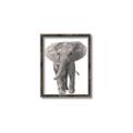 Picture of In Front Elephant _GroupedProduct_Rectangle_Portrait_Mini_ _GroupedProduct_Rectangle_Portrait_Canvas_Framed_