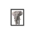 Picture of In Front Elephant _GroupedProduct_Rectangle_Portrait_Mini_ _GroupedProduct_Rectangle_Portrait_Canvas_Framed_