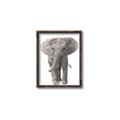 Picture of In Front Elephant _GroupedProduct_Rectangle_Portrait_Mini_ _GroupedProduct_Rectangle_Portrait_Canvas_Framed_