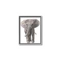 Picture of In Front Elephant _GroupedProduct_Rectangle_Portrait_Mini_ _GroupedProduct_Rectangle_Portrait_Canvas_Framed_