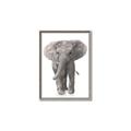 Picture of In Front Elephant _GroupedProduct_Rectangle_Portrait_Mini_ _GroupedProduct_Rectangle_Portrait_Canvas_Framed_