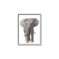Picture of In Front Elephant _GroupedProduct_Rectangle_Portrait_Mini_ _GroupedProduct_Rectangle_Portrait_Canvas_Framed_