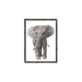 Picture of In Front Elephant _GroupedProduct_Rectangle_Portrait_Mini_ _GroupedProduct_Rectangle_Portrait_Canvas_Framed_