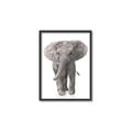 Picture of In Front Elephant _GroupedProduct_Rectangle_Portrait_Mini_ _GroupedProduct_Rectangle_Portrait_Canvas_Framed_
