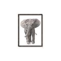 Picture of In Front Elephant _GroupedProduct_Rectangle_Portrait_Mini_ _GroupedProduct_Rectangle_Portrait_Canvas_Framed_