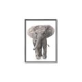 Picture of In Front Elephant _GroupedProduct_Rectangle_Portrait_Mini_ _GroupedProduct_Rectangle_Portrait_Canvas_Framed_