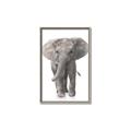 Picture of In Front Elephant _GroupedProduct_Rectangle_Portrait_Mini_ _GroupedProduct_Rectangle_Portrait_Canvas_Framed_