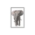 Picture of In Front Elephant _GroupedProduct_Rectangle_Portrait_Mini_ _GroupedProduct_Rectangle_Portrait_Canvas_Framed_