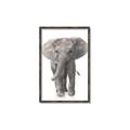 Picture of In Front Elephant _GroupedProduct_Rectangle_Portrait_Mini_ _GroupedProduct_Rectangle_Portrait_Canvas_Framed_