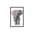 Picture of In Front Elephant _GroupedProduct_Rectangle_Portrait_Mini_ _GroupedProduct_Rectangle_Portrait_Canvas_Framed_