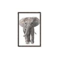 Picture of In Front Elephant _GroupedProduct_Rectangle_Portrait_Mini_ _GroupedProduct_Rectangle_Portrait_Canvas_Framed_
