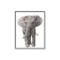 Picture of In Front Elephant _GroupedProduct_Rectangle_Portrait_Mini_ _GroupedProduct_Rectangle_Portrait_Canvas_Framed_