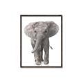 Picture of In Front Elephant _GroupedProduct_Rectangle_Portrait_Mini_ _GroupedProduct_Rectangle_Portrait_Canvas_Framed_