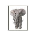 Picture of In Front Elephant _GroupedProduct_Rectangle_Portrait_Mini_ _GroupedProduct_Rectangle_Portrait_Canvas_Framed_
