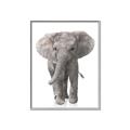 Picture of In Front Elephant _GroupedProduct_Rectangle_Portrait_Mini_ _GroupedProduct_Rectangle_Portrait_Canvas_Framed_