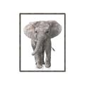 Picture of In Front Elephant _GroupedProduct_Rectangle_Portrait_Mini_ _GroupedProduct_Rectangle_Portrait_Canvas_Framed_