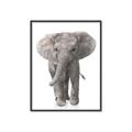 Picture of In Front Elephant _GroupedProduct_Rectangle_Portrait_Mini_ _GroupedProduct_Rectangle_Portrait_Canvas_Framed_