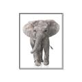 Picture of In Front Elephant _GroupedProduct_Rectangle_Portrait_Mini_ _GroupedProduct_Rectangle_Portrait_Canvas_Framed_