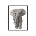 Picture of In Front Elephant _GroupedProduct_Rectangle_Portrait_Mini_ _GroupedProduct_Rectangle_Portrait_Canvas_Framed_