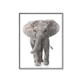 Picture of In Front Elephant _GroupedProduct_Rectangle_Portrait_Mini_ _GroupedProduct_Rectangle_Portrait_Canvas_Framed_