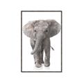 Picture of In Front Elephant _GroupedProduct_Rectangle_Portrait_Mini_ _GroupedProduct_Rectangle_Portrait_Canvas_Framed_