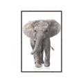 Picture of In Front Elephant _GroupedProduct_Rectangle_Portrait_Mini_ _GroupedProduct_Rectangle_Portrait_Canvas_Framed_
