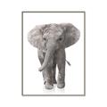 Picture of In Front Elephant _GroupedProduct_Rectangle_Portrait_Mini_ _GroupedProduct_Rectangle_Portrait_Canvas_Framed_