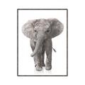 Picture of In Front Elephant _GroupedProduct_Rectangle_Portrait_Mini_ _GroupedProduct_Rectangle_Portrait_Canvas_Framed_