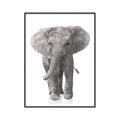 Picture of In Front Elephant _GroupedProduct_Rectangle_Portrait_Mini_ _GroupedProduct_Rectangle_Portrait_Canvas_Framed_