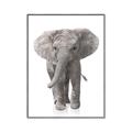 Picture of In Front Elephant _GroupedProduct_Rectangle_Portrait_Mini_ _GroupedProduct_Rectangle_Portrait_Canvas_Framed_