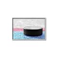 Picture of Hockey Puck  _GroupedProduct_Rectangle_Landscape_Mini_ _GroupedProduct_Rectangle_Landscape_Canvas_Framed_