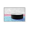 Picture of Hockey Puck  _GroupedProduct_Rectangle_Landscape_Mini_ _GroupedProduct_Rectangle_Landscape_Canvas_Framed_
