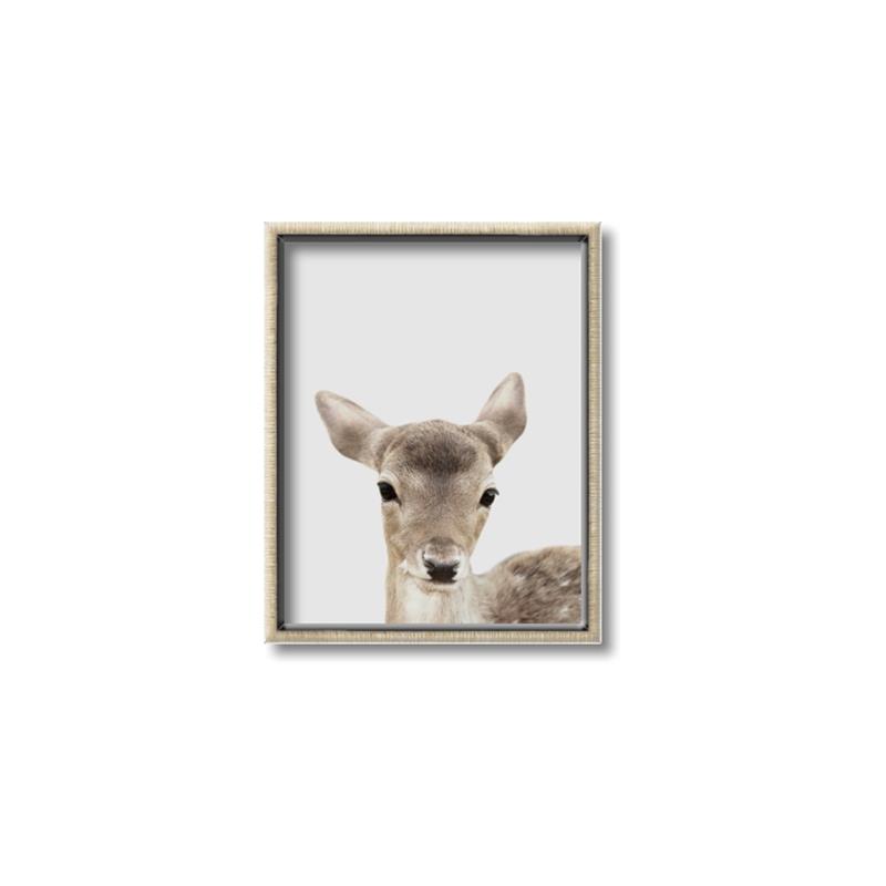 Picture of Deer   _GroupedProduct_Rectangle_Portrait_Mini_ _GroupedProduct_Rectangle_Portrait_Canvas_Framed_