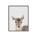 Picture of Deer   _GroupedProduct_Rectangle_Portrait_Mini_ _GroupedProduct_Rectangle_Portrait_Canvas_Framed_