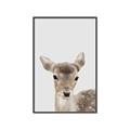 Picture of Deer   _GroupedProduct_Rectangle_Portrait_Mini_ _GroupedProduct_Rectangle_Portrait_Canvas_Framed_