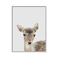Picture of Deer   _GroupedProduct_Rectangle_Portrait_Mini_ _GroupedProduct_Rectangle_Portrait_Canvas_Framed_