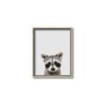 Picture of Peekaboo Raccoon _GroupedProduct_Rectangle_Portrait_Mini_ _GroupedProduct_Rectangle_Portrait_Canvas_Framed_