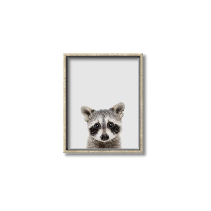 Picture of Peekaboo Raccoon _GroupedProduct_Rectangle_Portrait_Mini_ _GroupedProduct_Rectangle_Portrait_Canvas_Framed_