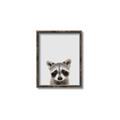 Picture of Peekaboo Raccoon _GroupedProduct_Rectangle_Portrait_Mini_ _GroupedProduct_Rectangle_Portrait_Canvas_Framed_