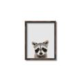 Picture of Peekaboo Raccoon _GroupedProduct_Rectangle_Portrait_Mini_ _GroupedProduct_Rectangle_Portrait_Canvas_Framed_
