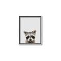 Picture of Peekaboo Raccoon _GroupedProduct_Rectangle_Portrait_Mini_ _GroupedProduct_Rectangle_Portrait_Canvas_Framed_