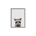 Picture of Peekaboo Raccoon _GroupedProduct_Rectangle_Portrait_Mini_ _GroupedProduct_Rectangle_Portrait_Canvas_Framed_
