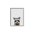Picture of Peekaboo Raccoon _GroupedProduct_Rectangle_Portrait_Mini_ _GroupedProduct_Rectangle_Portrait_Canvas_Framed_