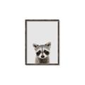 Picture of Peekaboo Raccoon _GroupedProduct_Rectangle_Portrait_Mini_ _GroupedProduct_Rectangle_Portrait_Canvas_Framed_